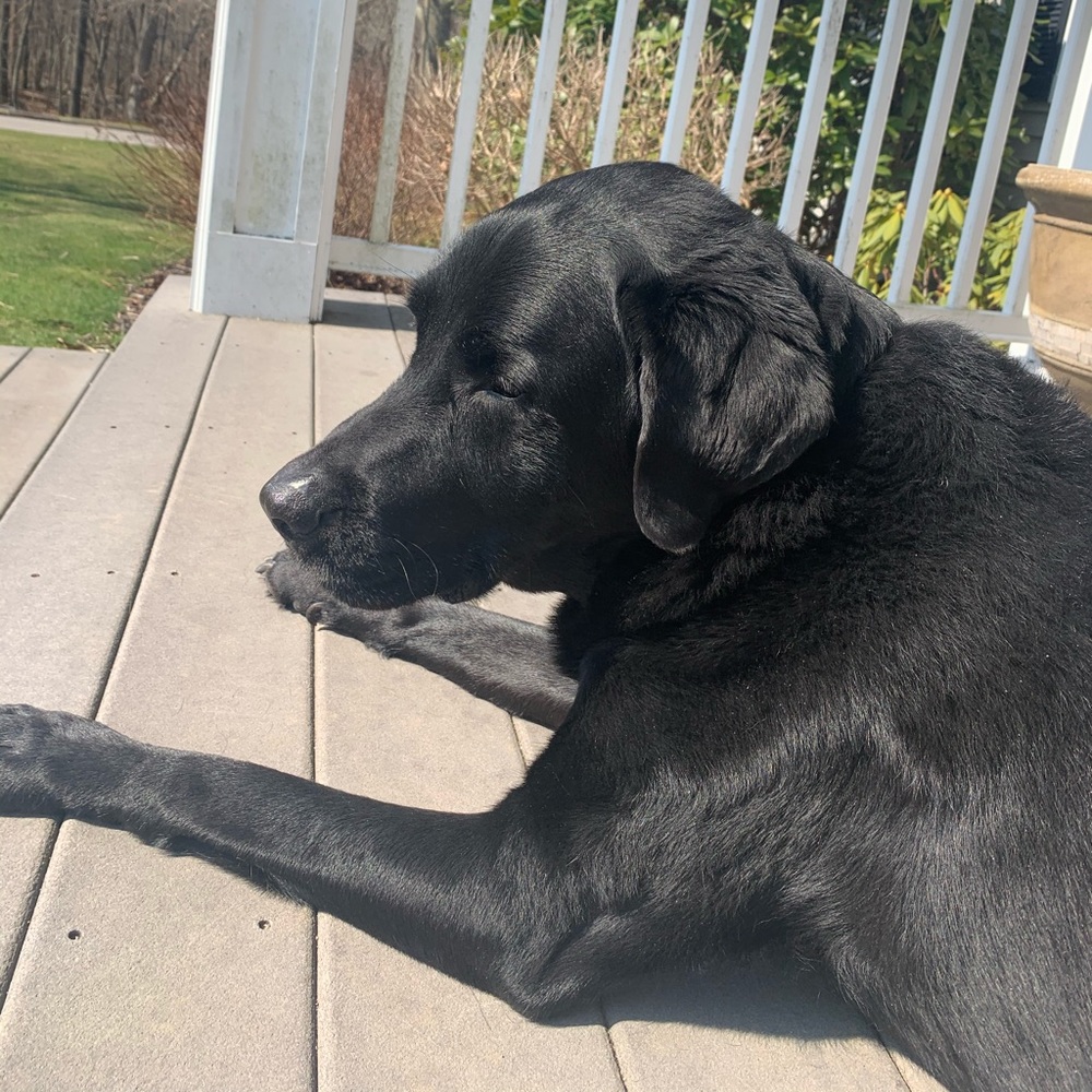 Meet your Posher, Sheila